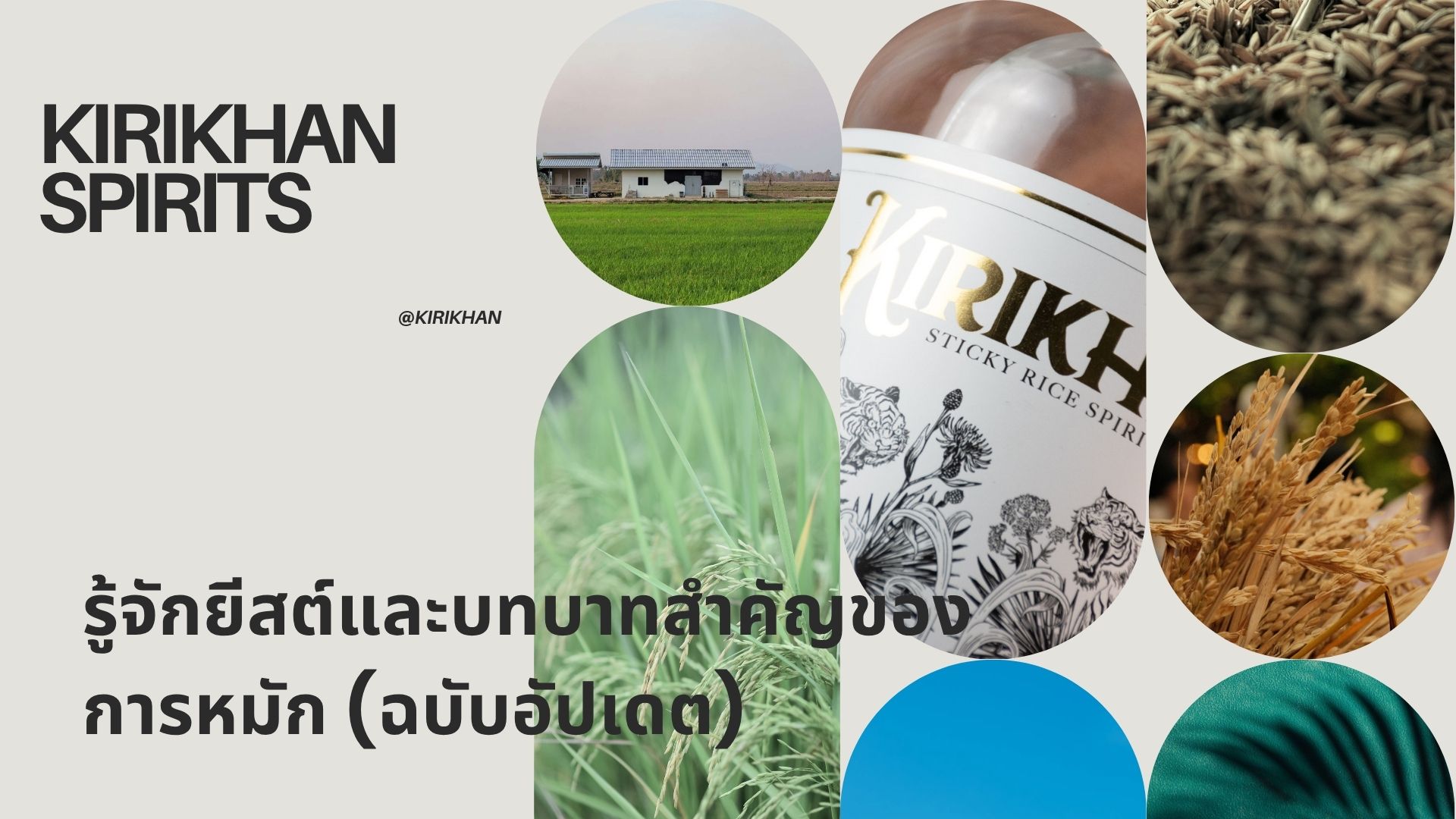บทความรู้จักยีสต์และบทบาทสำคัญของการหมัก โดยคีรีขาล สปิริตส์ แสดงขวดสุรากลั่นจากข้าวเหนียว ทุ่งนา ต้นข้าว รวงข้าว และเมล็ดข้าว ซึ่งเป็นวัตถุดิบสำคัญในกระบวนการผลิตสุรา